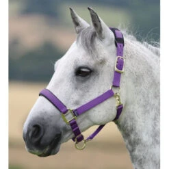 Shires Topaz Nylon Breakaway Halter - Purple