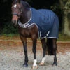 Amigo 100g Walker Rug - Black/Silver/Red