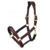 LeMieux Anatomic Leather Halter - Brown