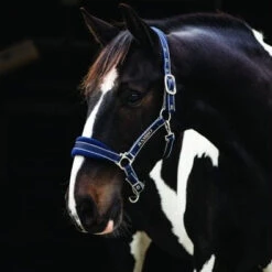 Rambo Padded Halter - Whitney Navy