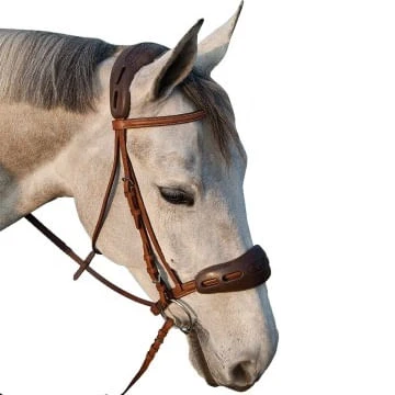 Acavallo Gel Poll & Nose Padding 1 Acavallo Gel Poll & Nose Padding