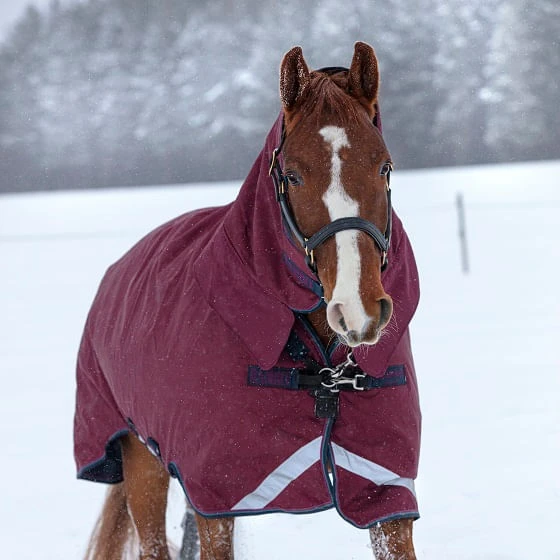 Rambo Rambo All-in-one 200g Turnout - Burgundy/Burgundy, Teal And Navy 2 Rambo Rambo All-in-one 200g Turnout - Burgundy/Burgundy, Teal And Navy - Image 2