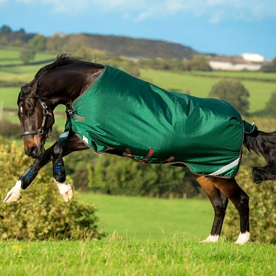 New Rambo Original W/Arches 100g Turnout Blanket - Green/Red 1 New Rambo Original W/Arches 100g Turnout Blanket - Green/Red