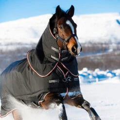 Rambo Supreme 420g 1680D Turnout - Black/Orange/Black