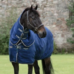 Rambo 200g Deluxe Stable Plus - Navy/Champagne