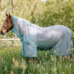 Amigo AmECO Bug Buster - Silver/Sky Blue