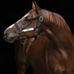 Horseware Ireland Horseware Field Safe Halter - Navy