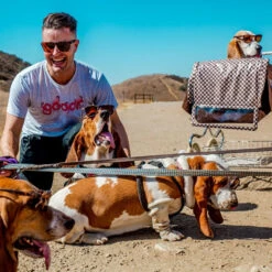 Goodr Bosley's Basset Hound Dreams Sunglasses -Birkenstock Store 469932 800 auto