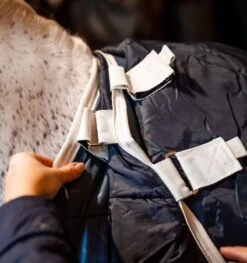 Horseware Ireland Horseware Eco Liner (100g Lite) - Teal Eco Print/Grey -Birkenstock Store 477639 800 auto