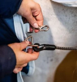 Horseware Ireland Horseware Eco Liner (200g Medium) - Teal Eco Print/Grey -Birkenstock Store 477662 800 auto